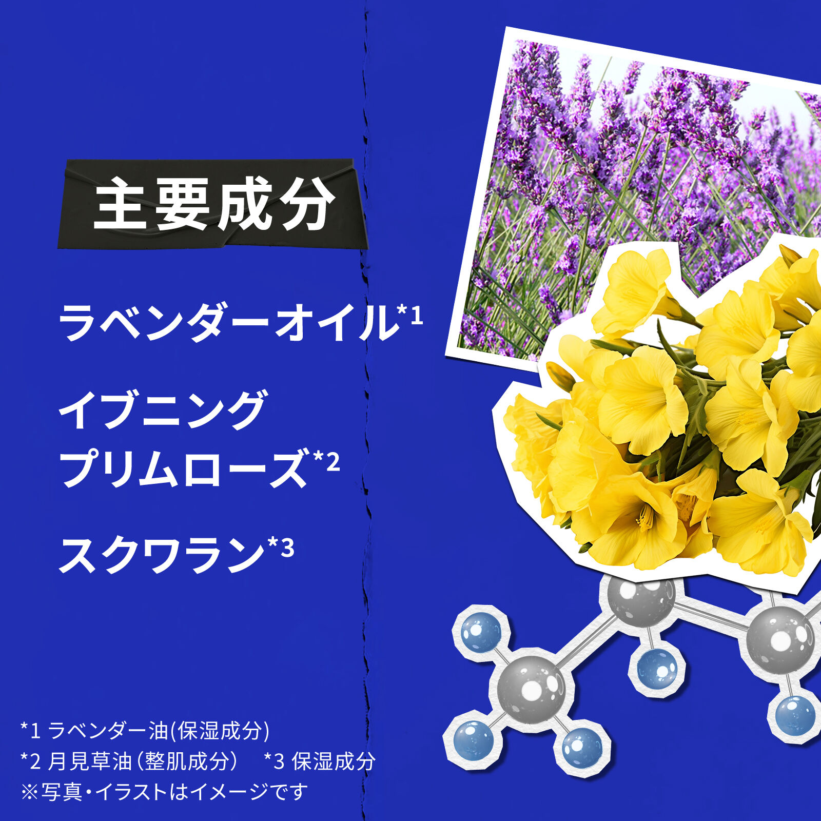 キールズ ミッドナイトボタニカル クレンジングオイル | クレンジング